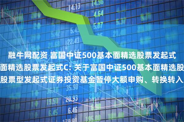 融牛网配资 富国中证500基本面精选股票发起式A,富国中证500基本面精选股票发起式C: 关于富国中证500基本面精选股票型发起式证券投资基金暂停大额申购、转换转入及定期定额投资业务的公告